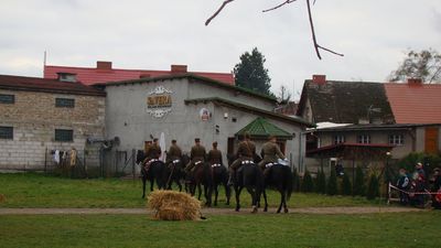 Kliknij aby obejrzeć w pełnym rozmiarze