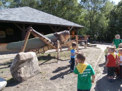 Kliknij aby obejrzeć w pełnym rozmiarze