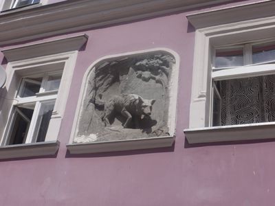Kliknij aby obejrzeć w pełnym rozmiarze