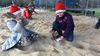 Nazwa pliku=2015_12_07_wycieczka_lubnica206.JPG
Rozmiar=254KB
Rozmiar=1024x576
Data dodania=10 grudnia 2015 2015_12_07_wycieczka_lubnica206.JPG