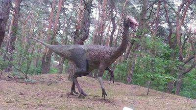 Kliknij aby obejrzeć w pełnym rozmiarze