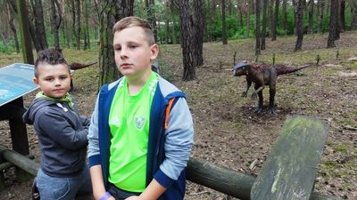 Kliknij aby obejrzeć w pełnym rozmiarze