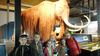 Nazwa pliku=DSC04924.JPG
Rozmiar=265KB
Rozmiar=1024x576
Data dodania=31 października 2016 DSC04924.JPG