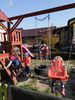 2018_10_17_ziemniak094.jpg