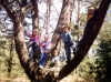 Nazwa pliku=1998_1999 (10).jpg
Rozmiar=176KB
Rozmiar=1314x981
Data dodania=18 listopada 2011 1998_1999 (10).jpg
