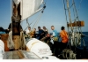 Nazwa pliku=1998_1999 (12).jpg
Rozmiar=114KB
Rozmiar=1383x981
Data dodania=19 listopada 2011 1998_1999 (12).jpg
