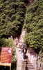 Nazwa pliku=2001_2002 (33).jpg
Rozmiar=263KB
Rozmiar=1038x1659
Data dodania=19 listopada 2011 2001_2002 (33).jpg
